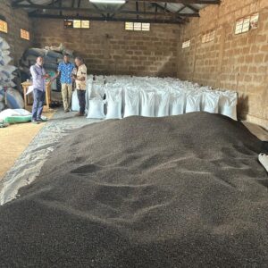 Black Pepper