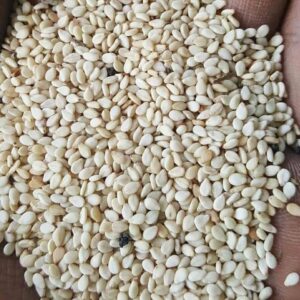 White Sesame Seeds