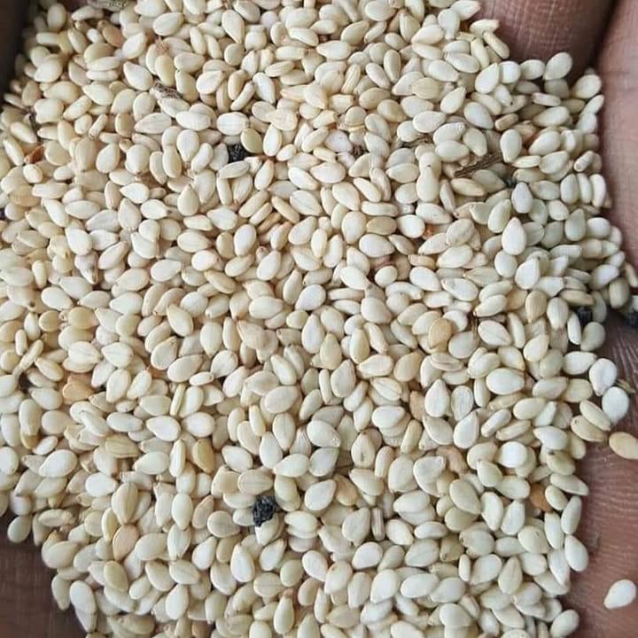 White Sesame Seeds