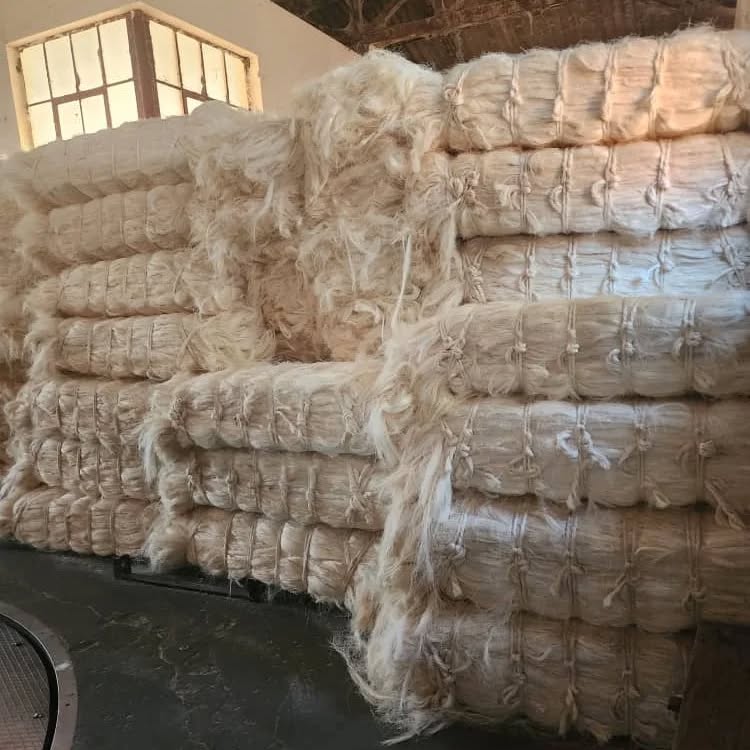 Sisal Fiber (UG & SSUG Grades)