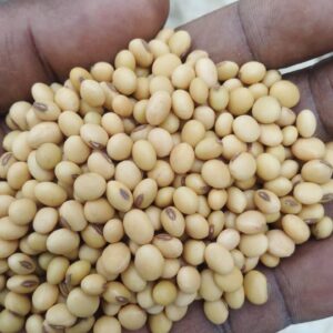 Soybeans