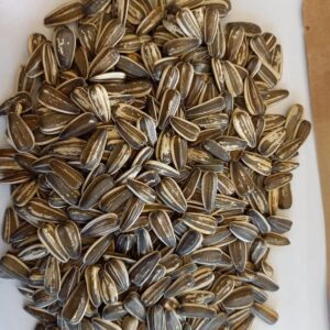 Sunflower Seeds