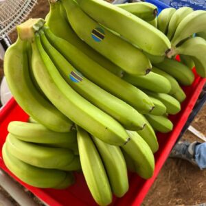 Fresh Banana