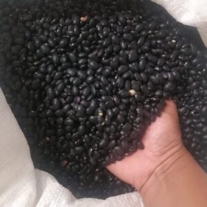 Black Kidney Beans