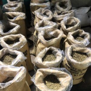 Coffee Beans
