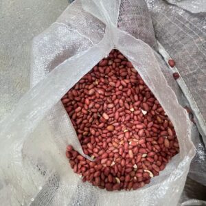 Raw Peanuts