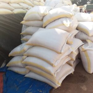 Soybean Meal