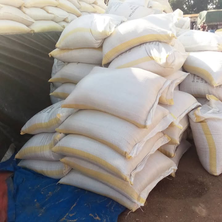 Soybean Meal