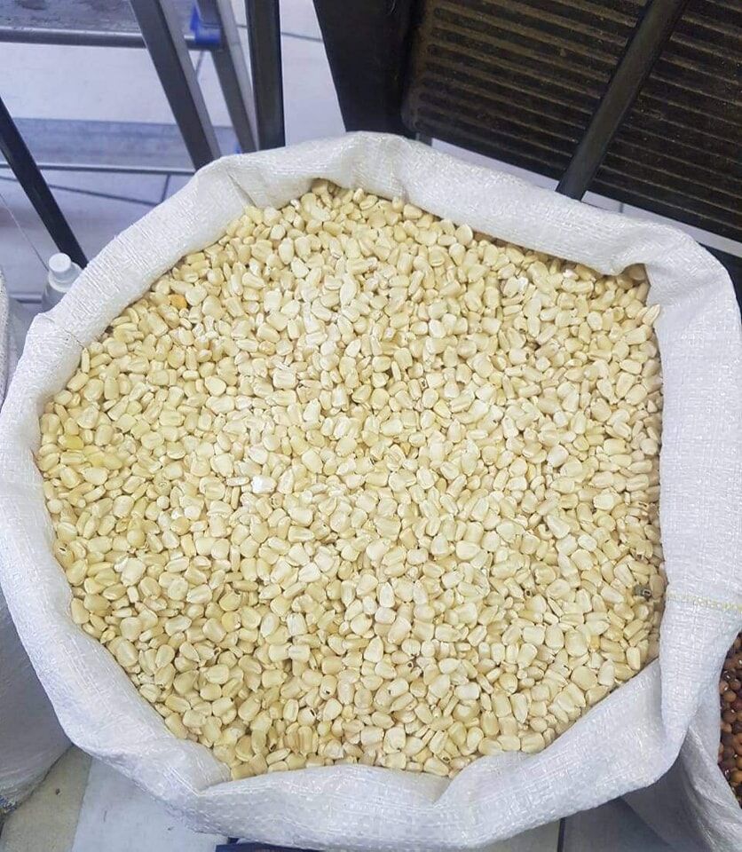 White & Yellow Corn (Maize)